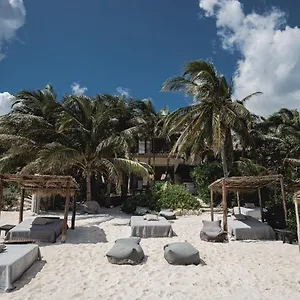 **** Hotel Nest Mexico
